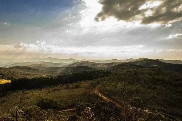 Environment Protection – Nature Campaign